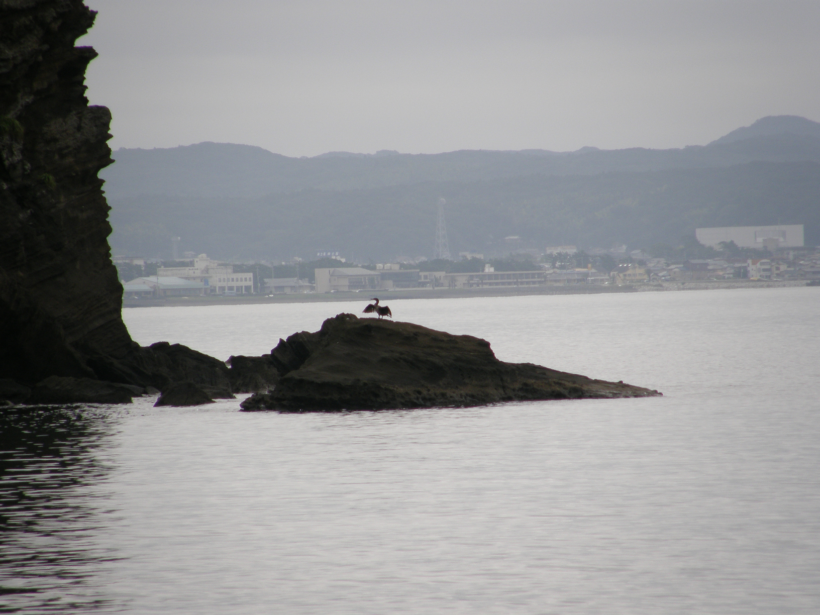 P9191859.jpg