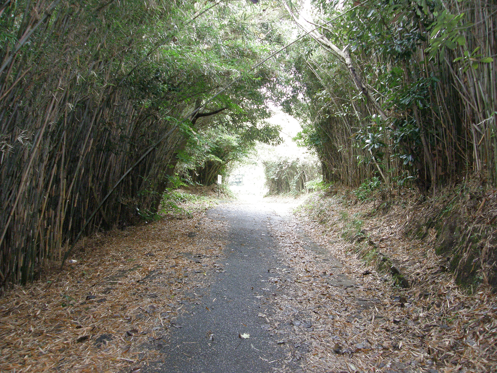 P9191860.jpg