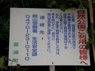 P9191862_thumb.png