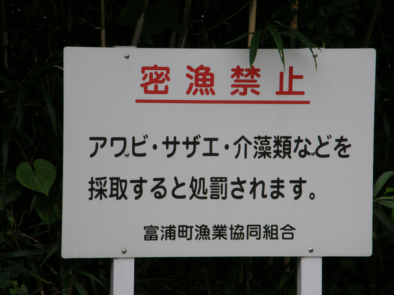 P9191863.jpg