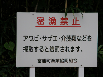 P9191863_thumb.png