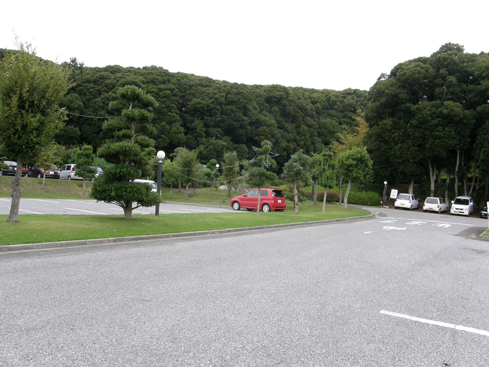P9191870.jpg