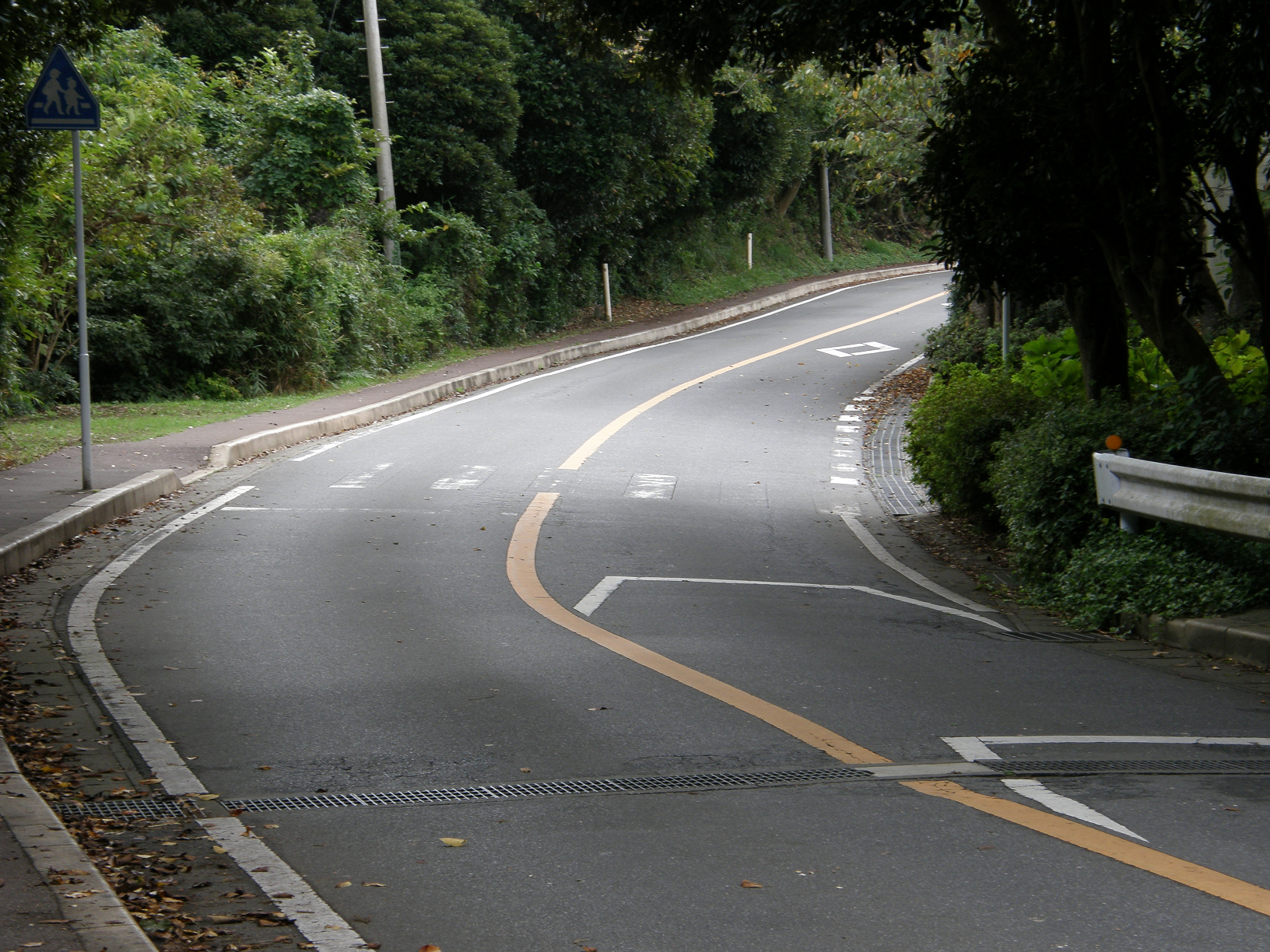 P9191879.jpg