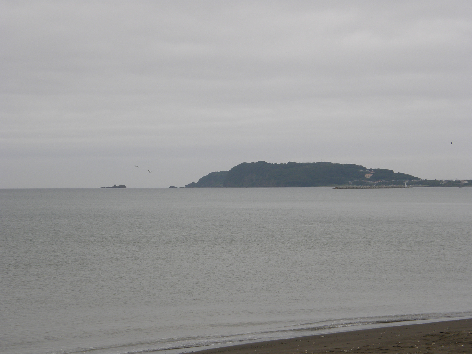 P9191885.jpg