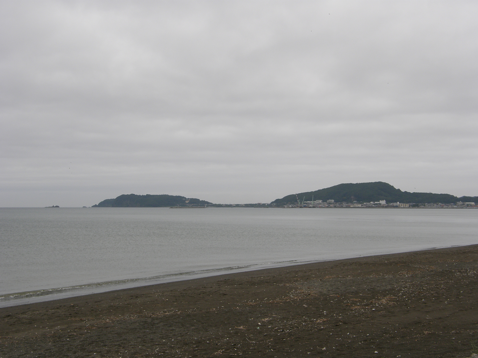 P9191886.jpg