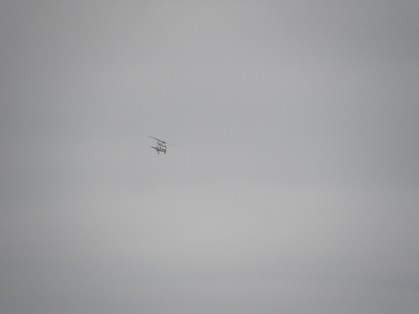 P9191888.jpg