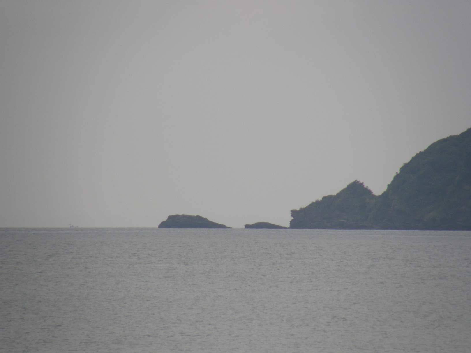 P9191895.jpg
