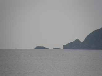 P9191895_thumb.png