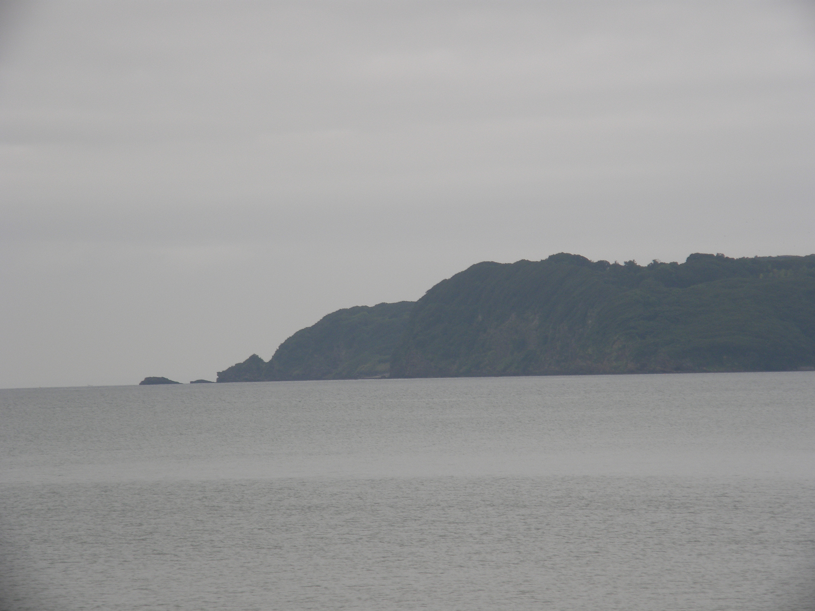 P9191897.jpg