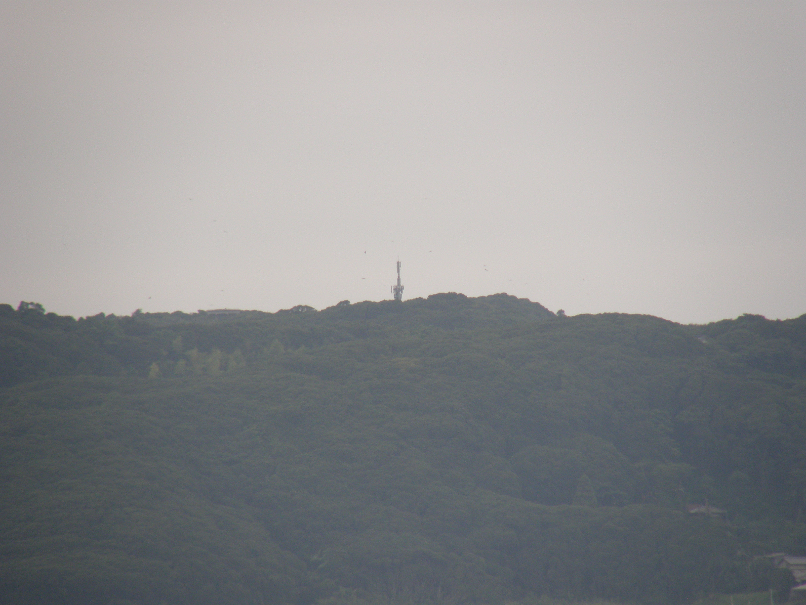 P9191898.jpg