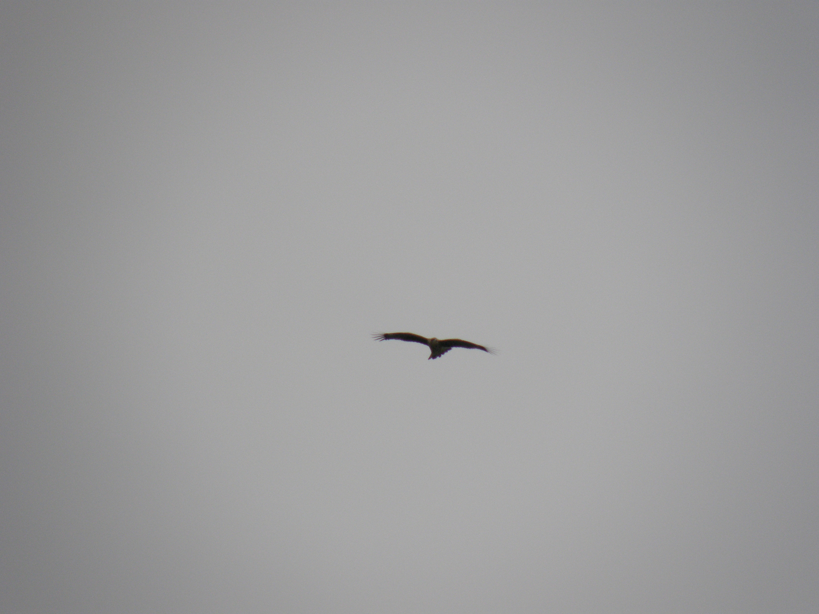 P9191901.jpg