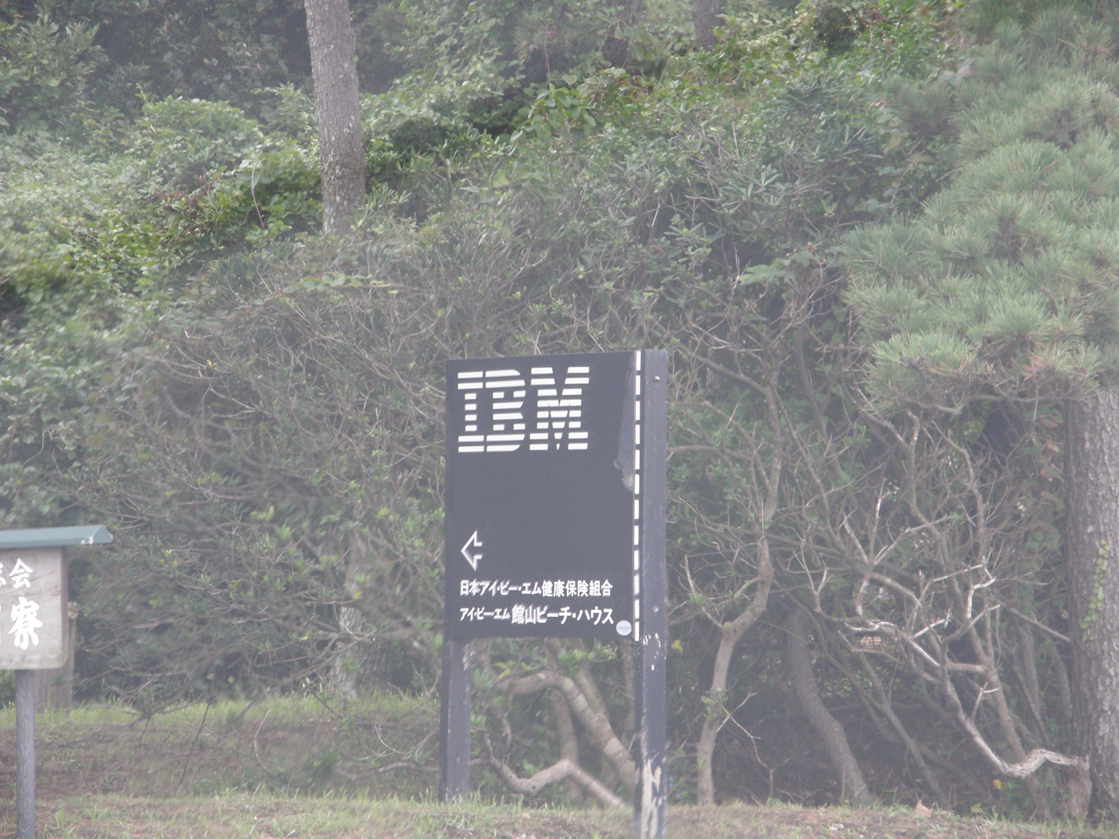 P9191915.jpg