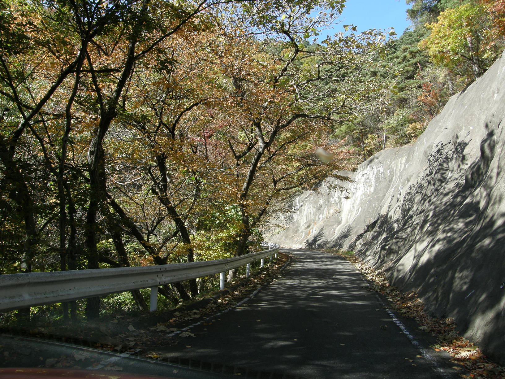 PB062472.jpg
