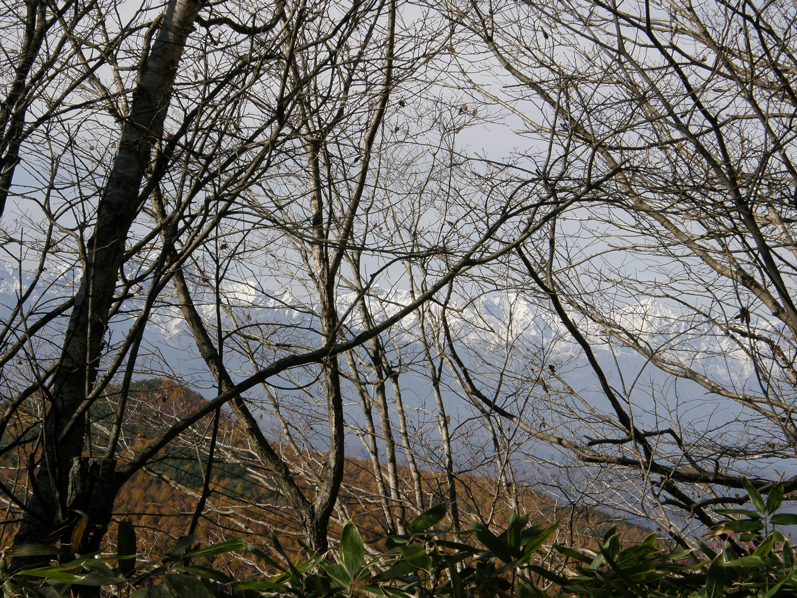 PB062473.jpg