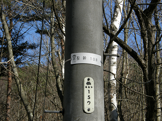 PB062476_thumb.png