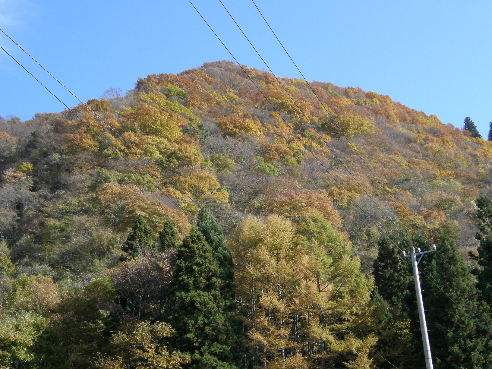 PB062496.jpg