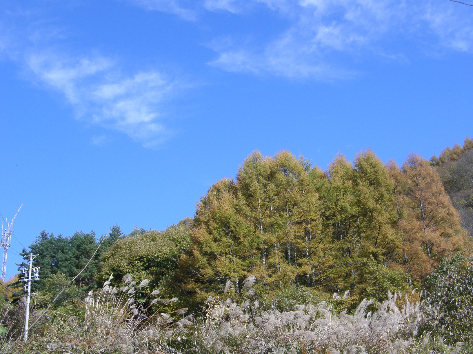 PB062497.jpg