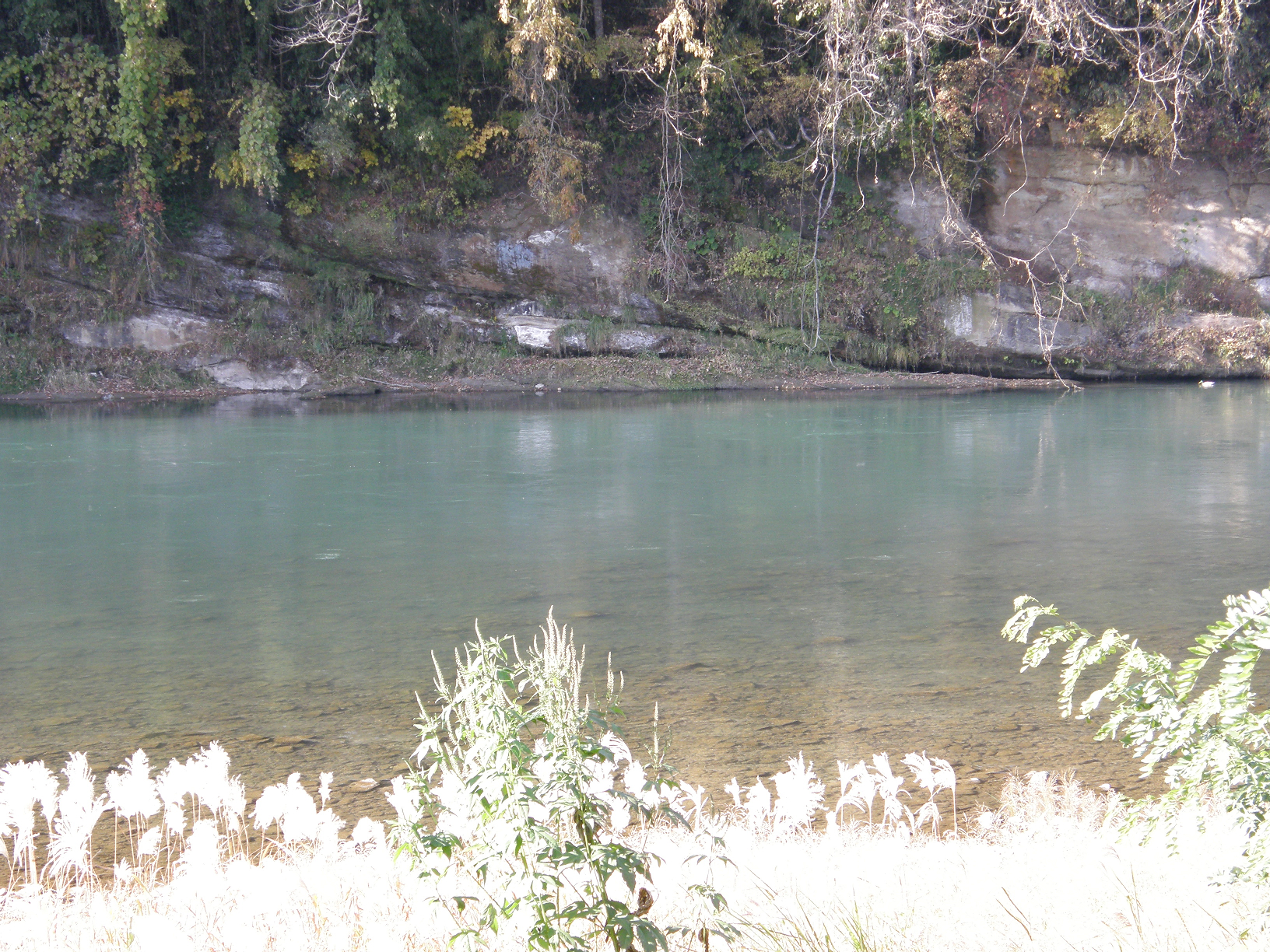 PB062503.jpg