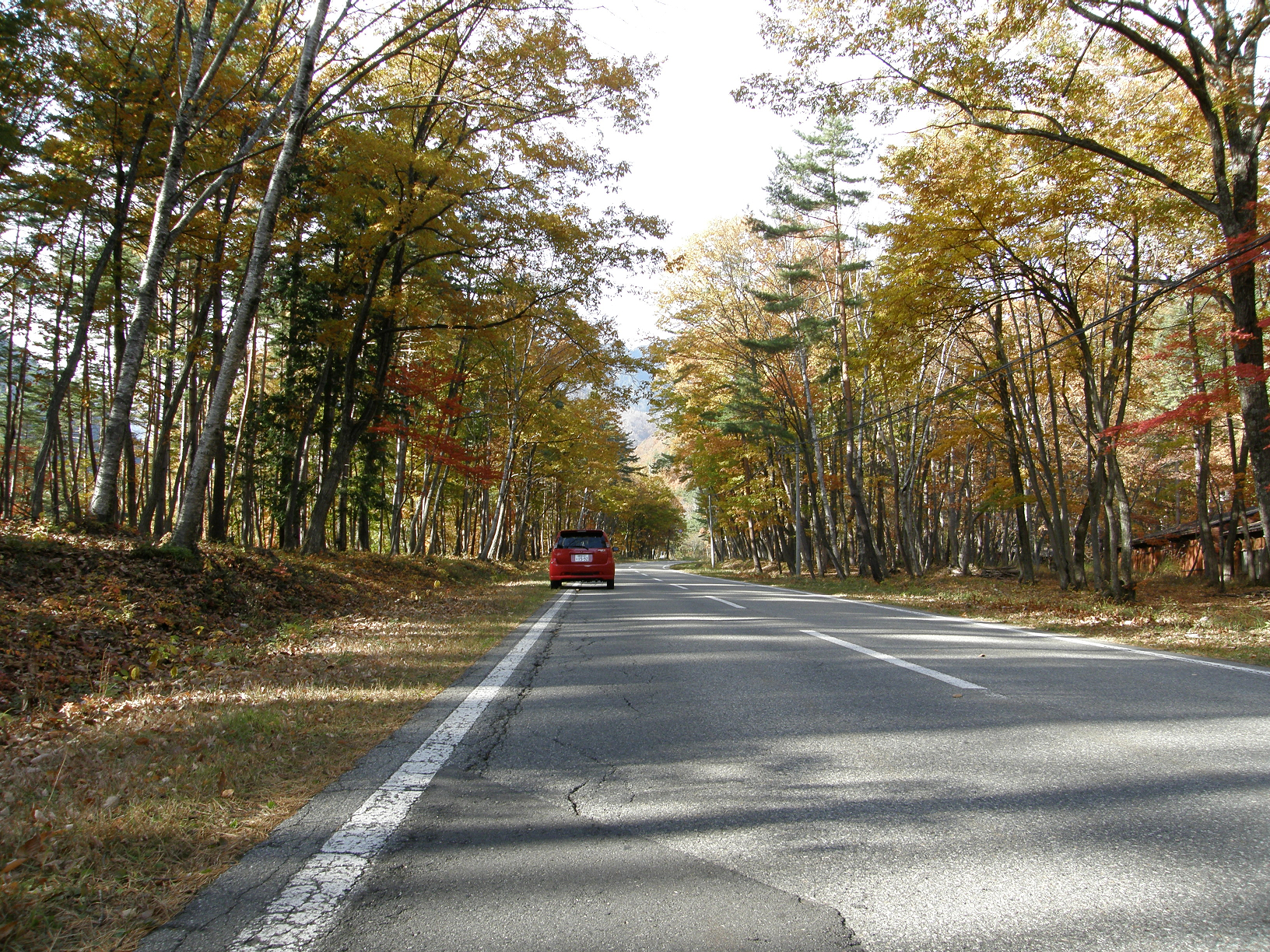 PB062517.jpg