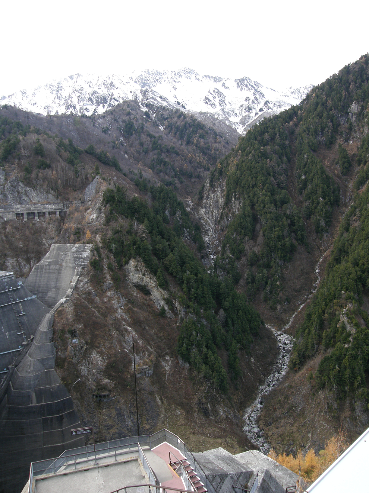PB062530.jpg
