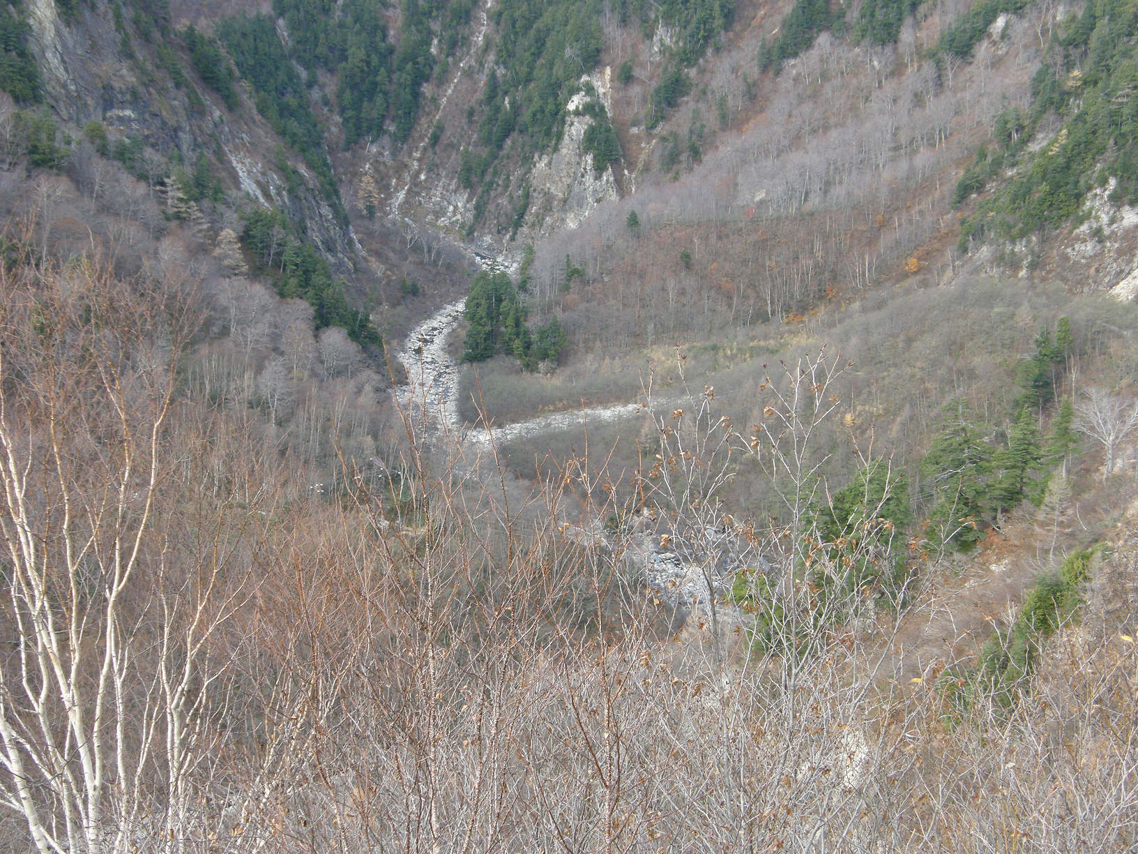 PB062532.jpg