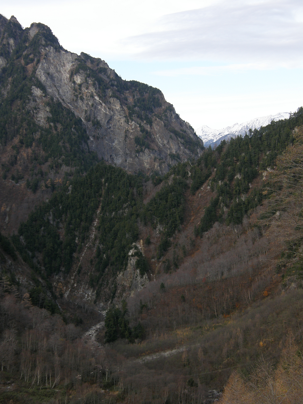 PB062554.jpg