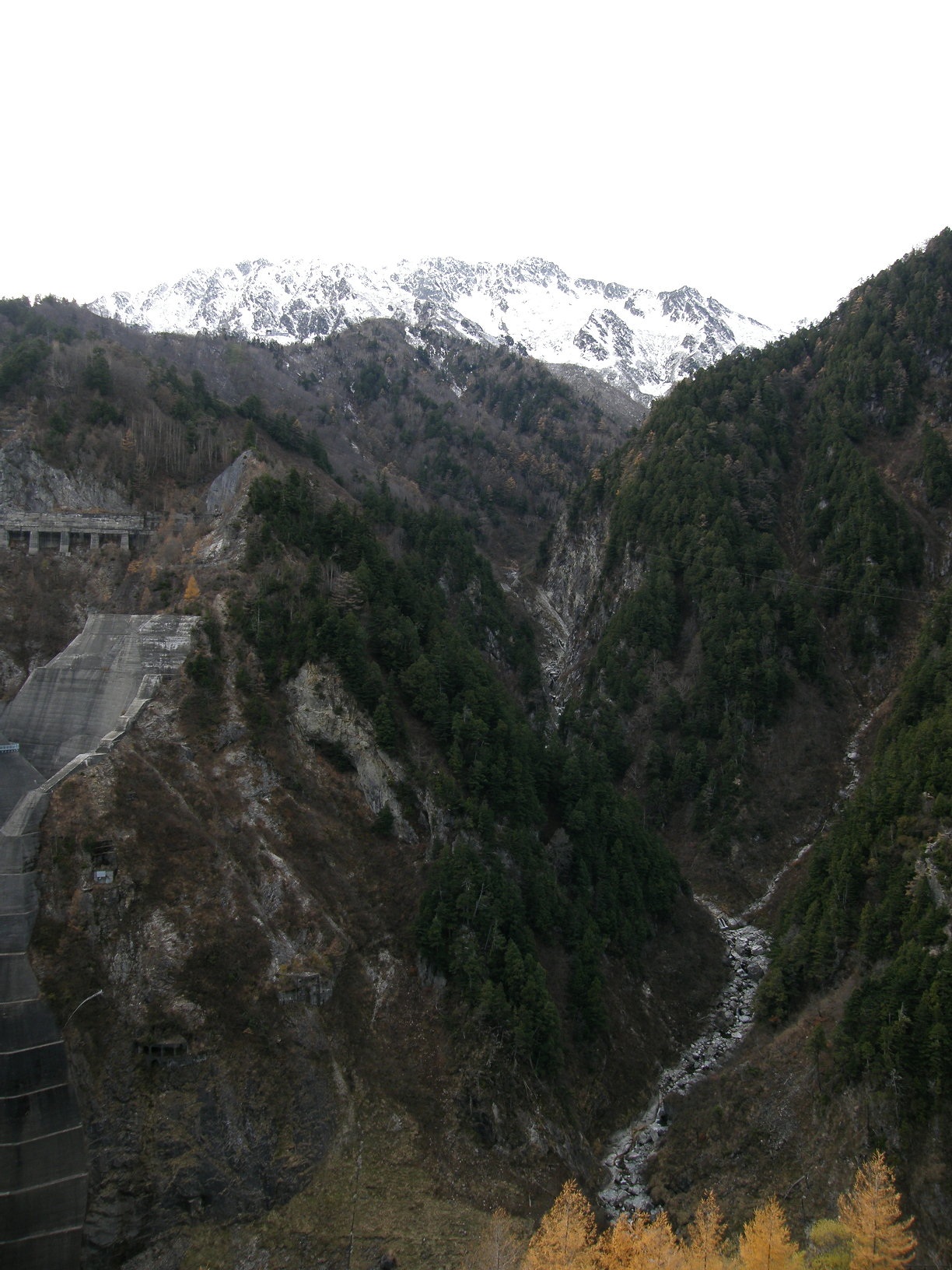 PB062555.jpg