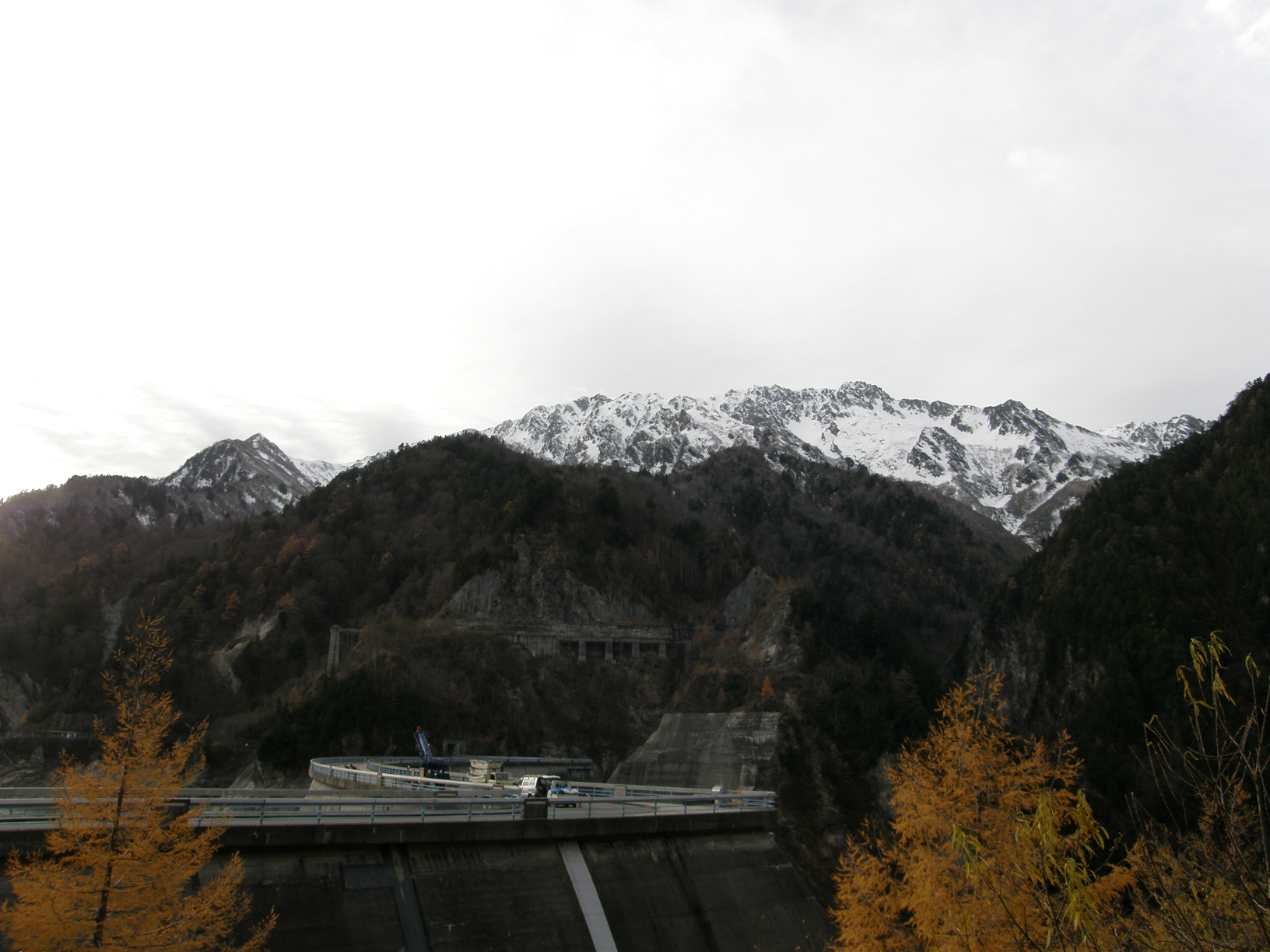 PB062561.jpg