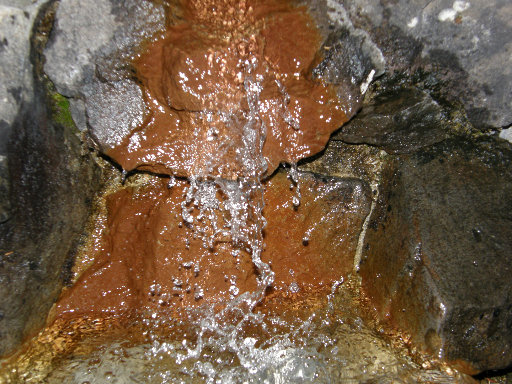 PB062566.jpg