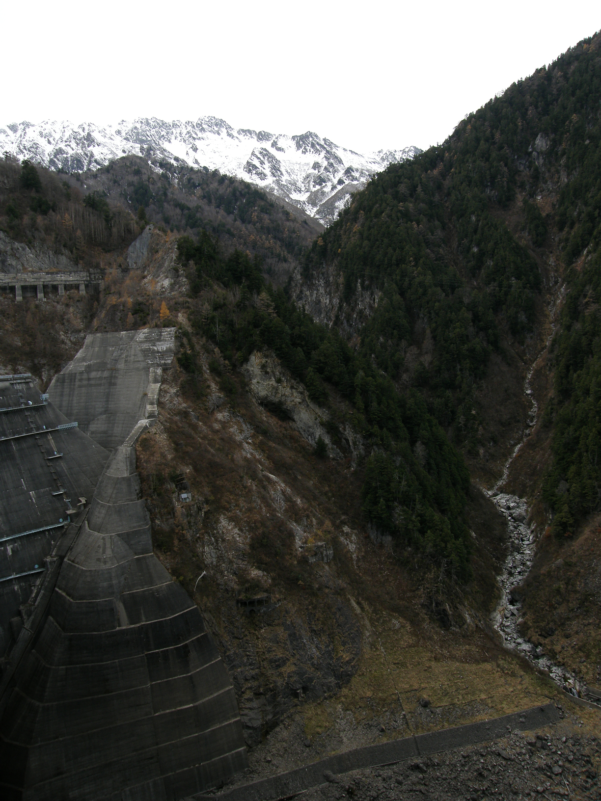PB062579.jpg