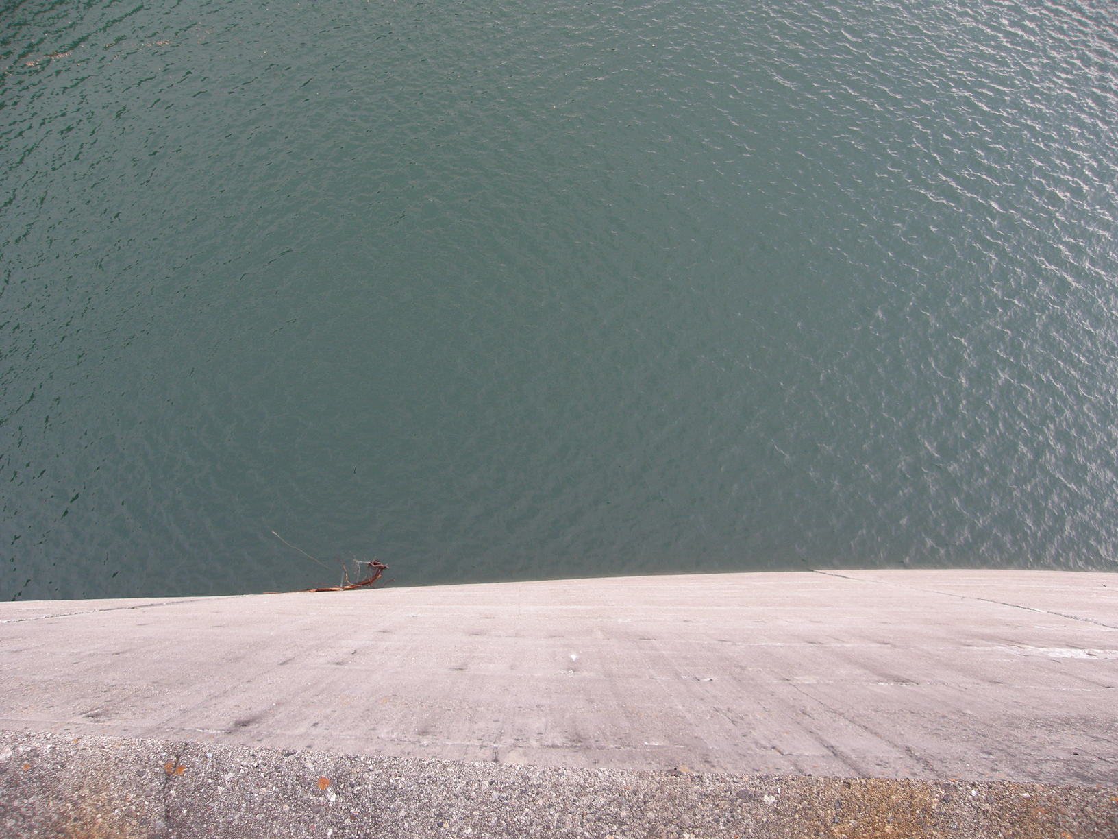 PB062593.jpg