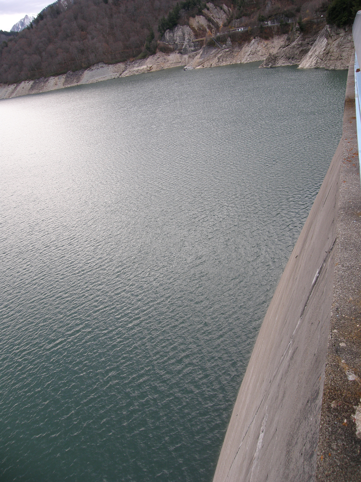 PB062594.jpg