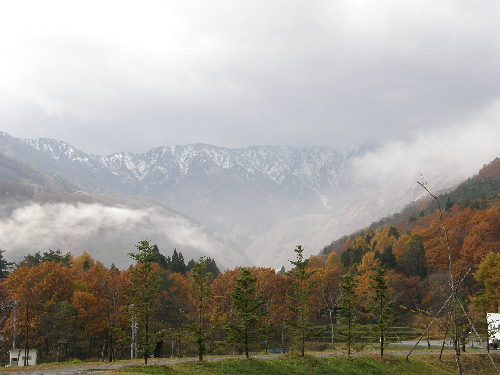 PB072667.jpg