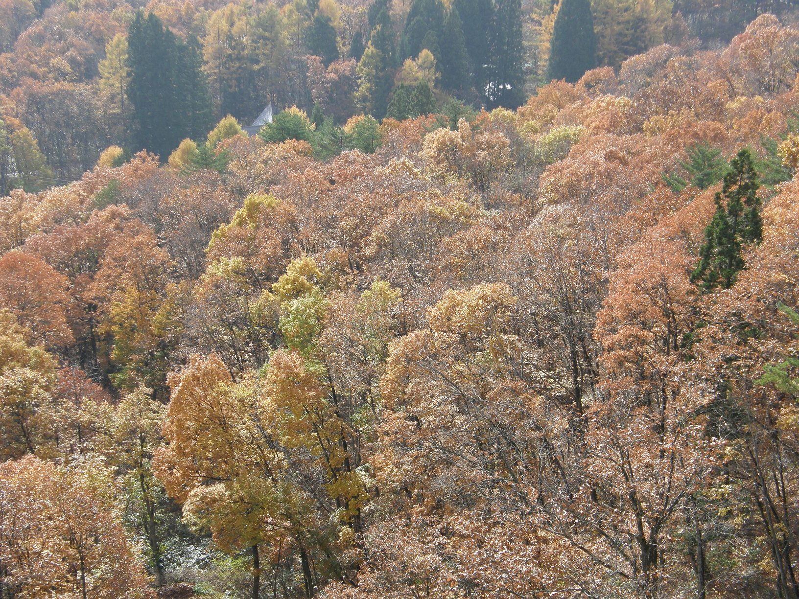 PB072723.jpg