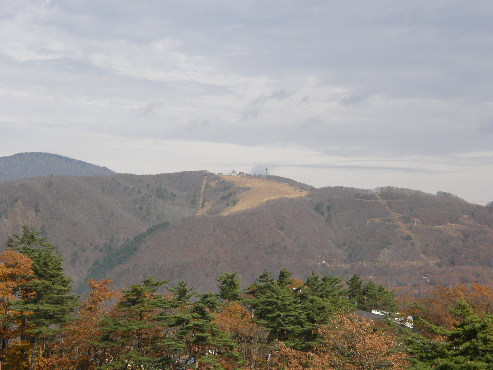 PB072738.jpg