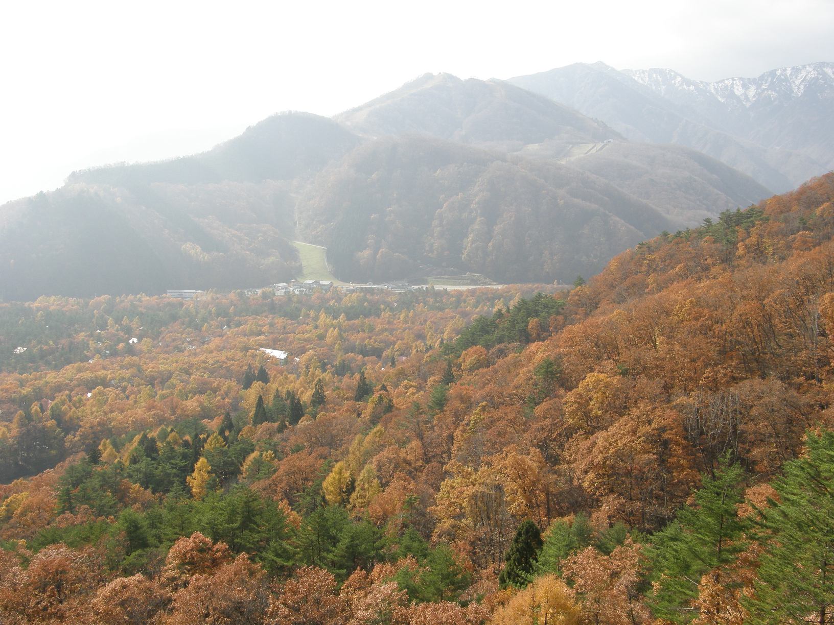 PB072751.jpg