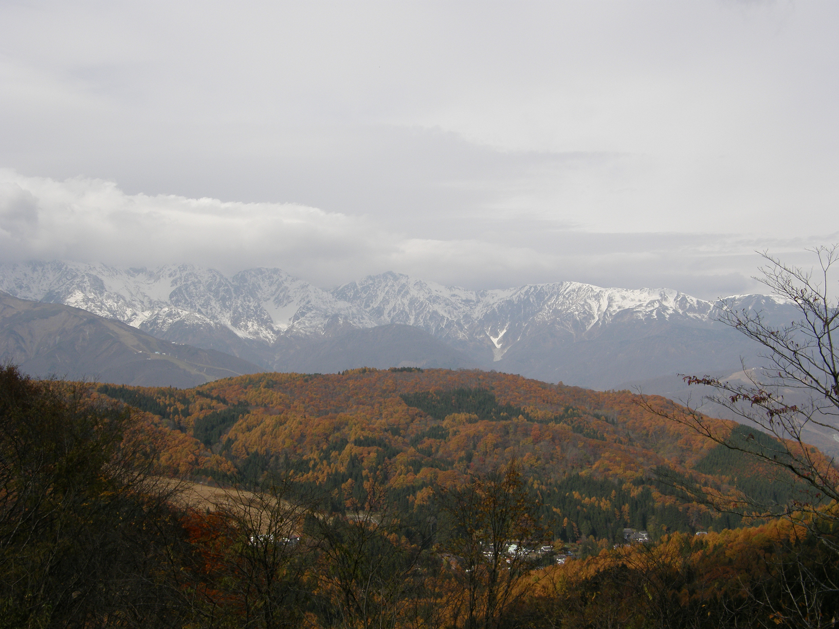 PB072768.jpg