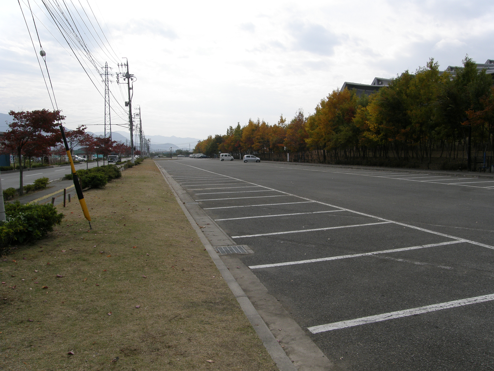 PB072816.jpg