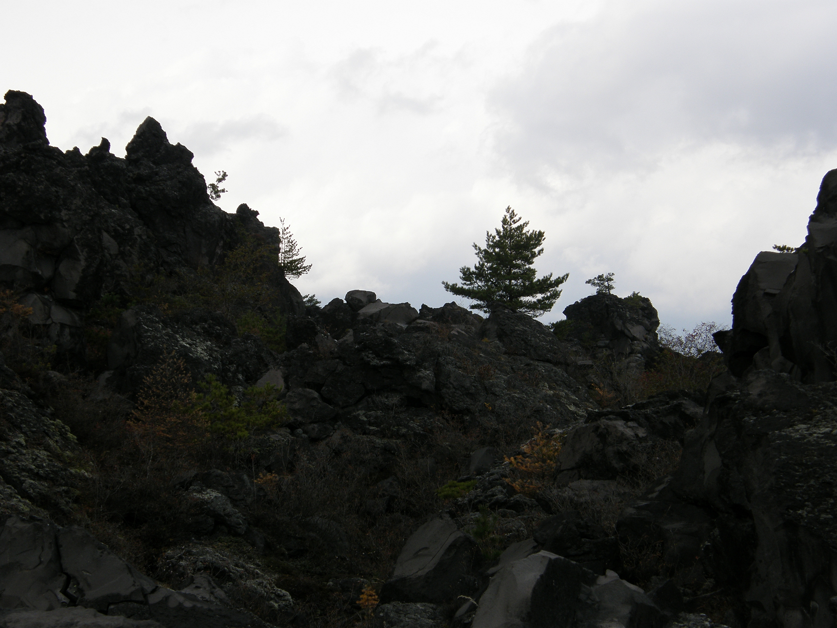 PB072831.jpg