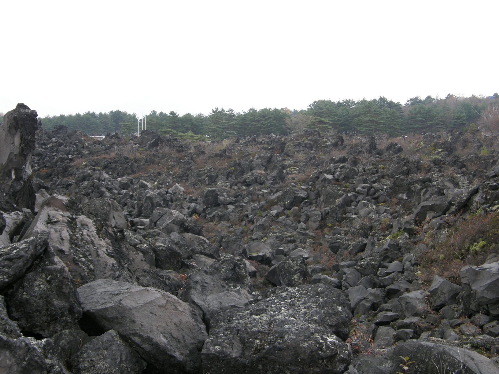 PB072834.jpg