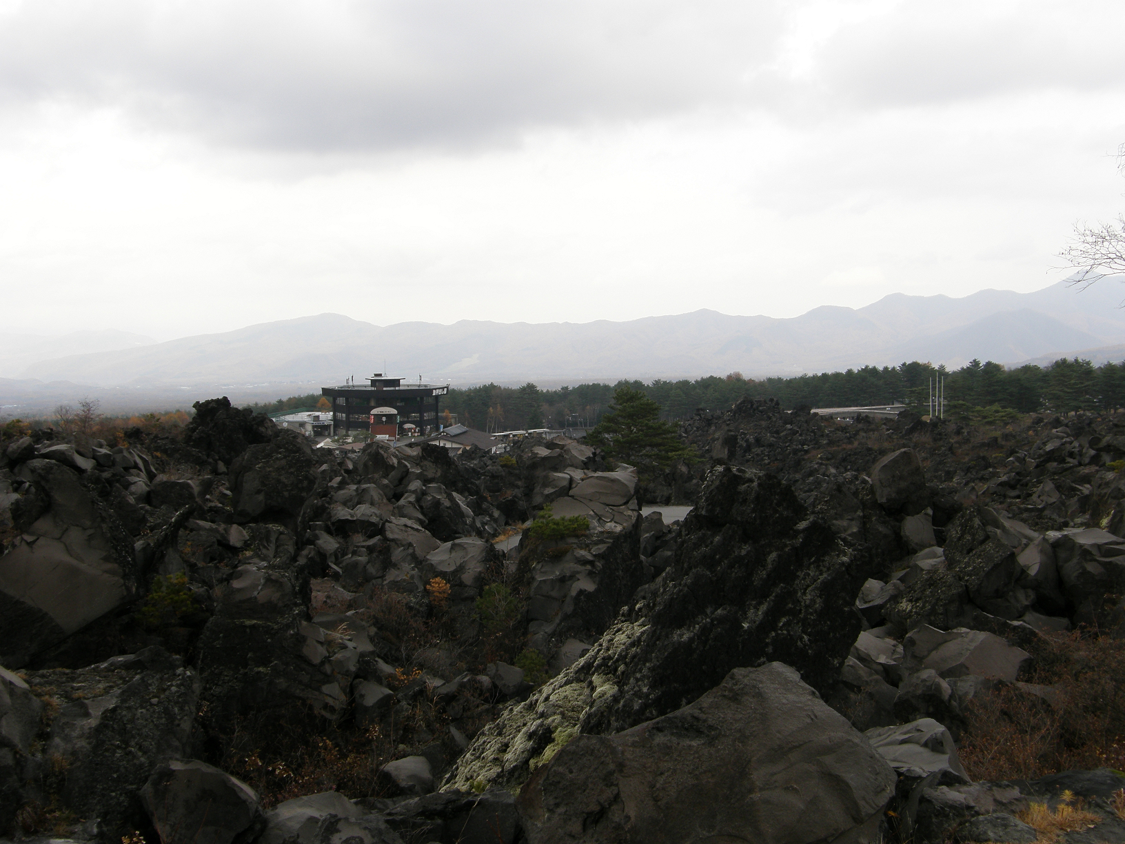 PB072835.jpg