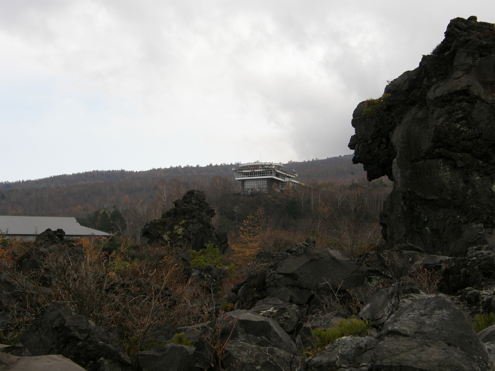 PB072836.jpg
