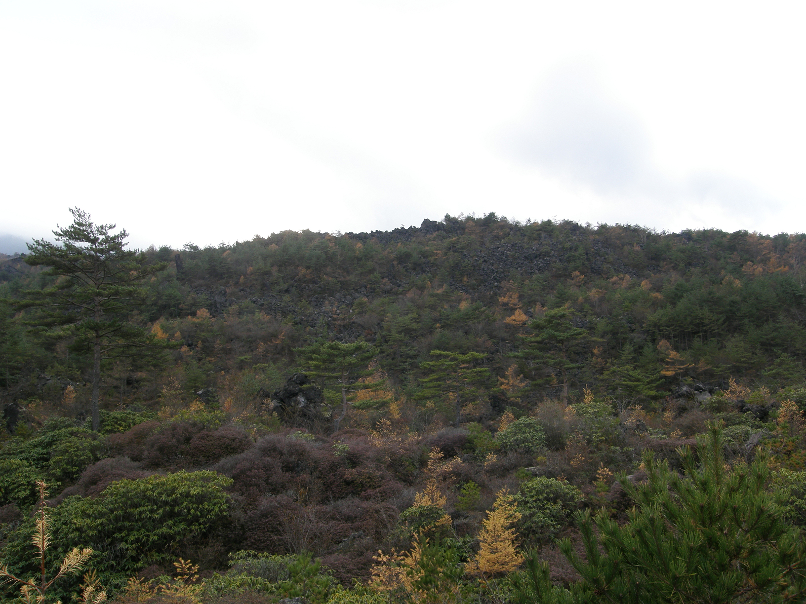 PB072839.jpg