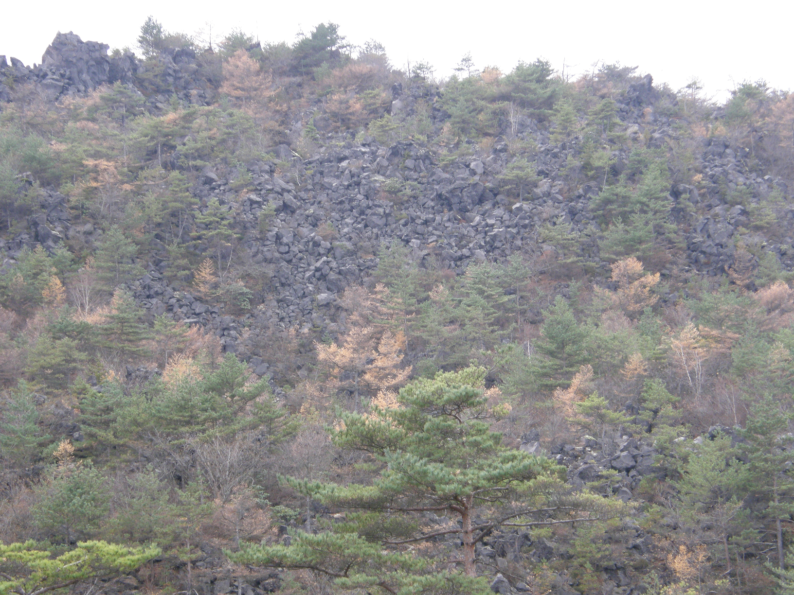 PB072840.jpg