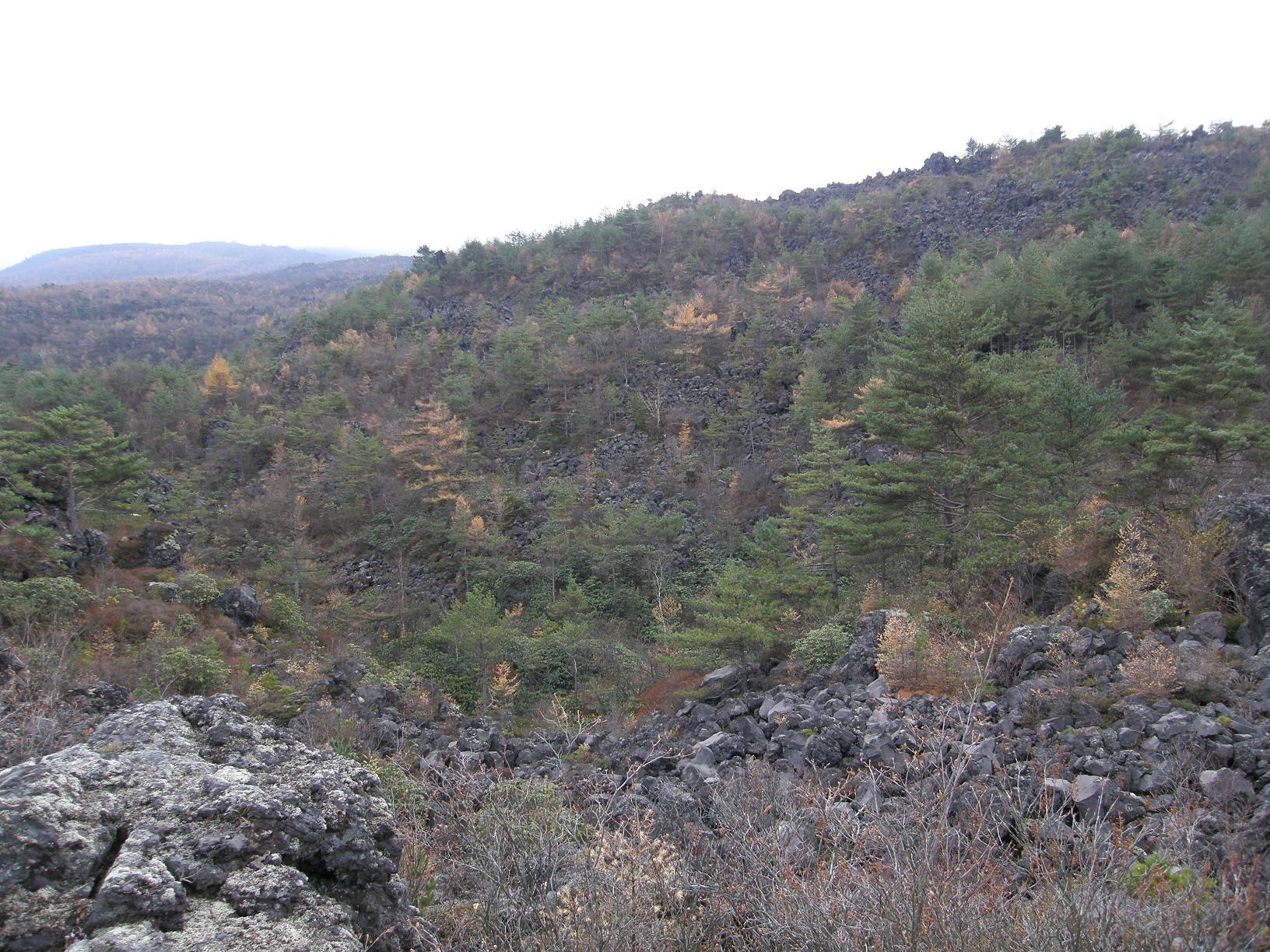 PB072841.jpg