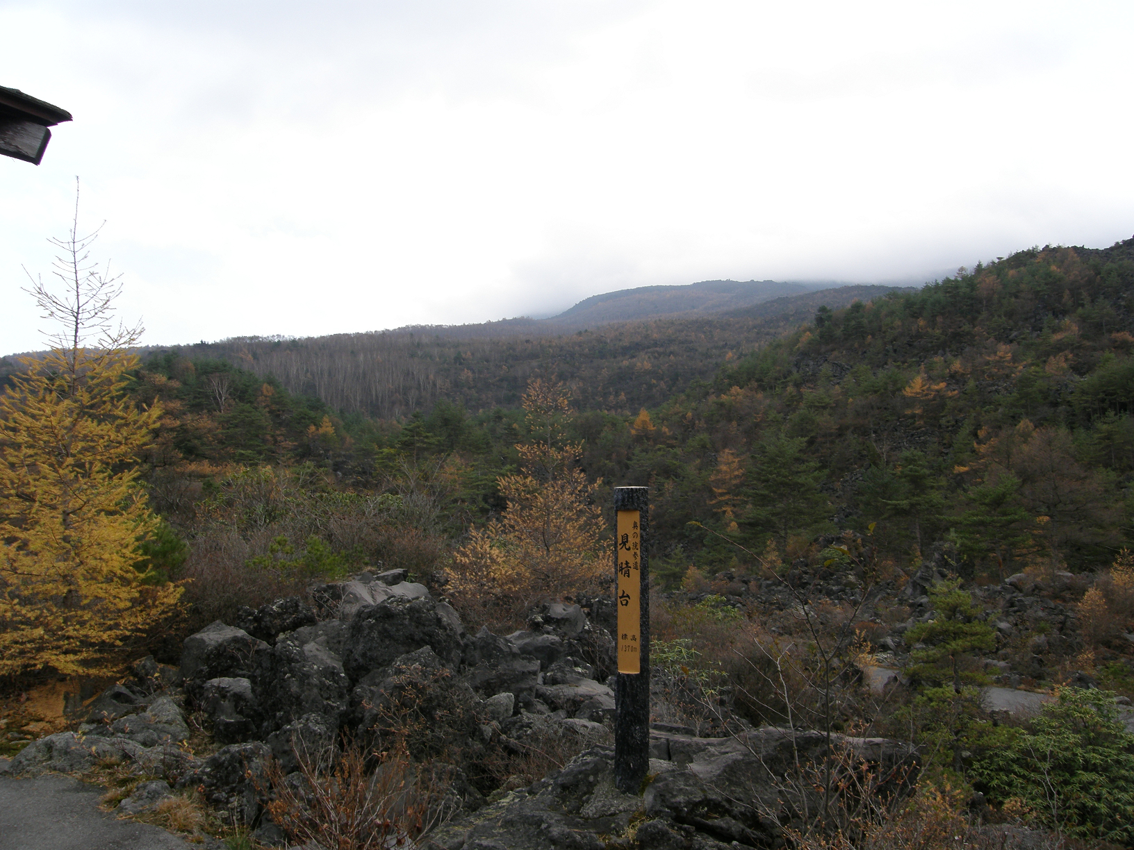 PB072842.jpg