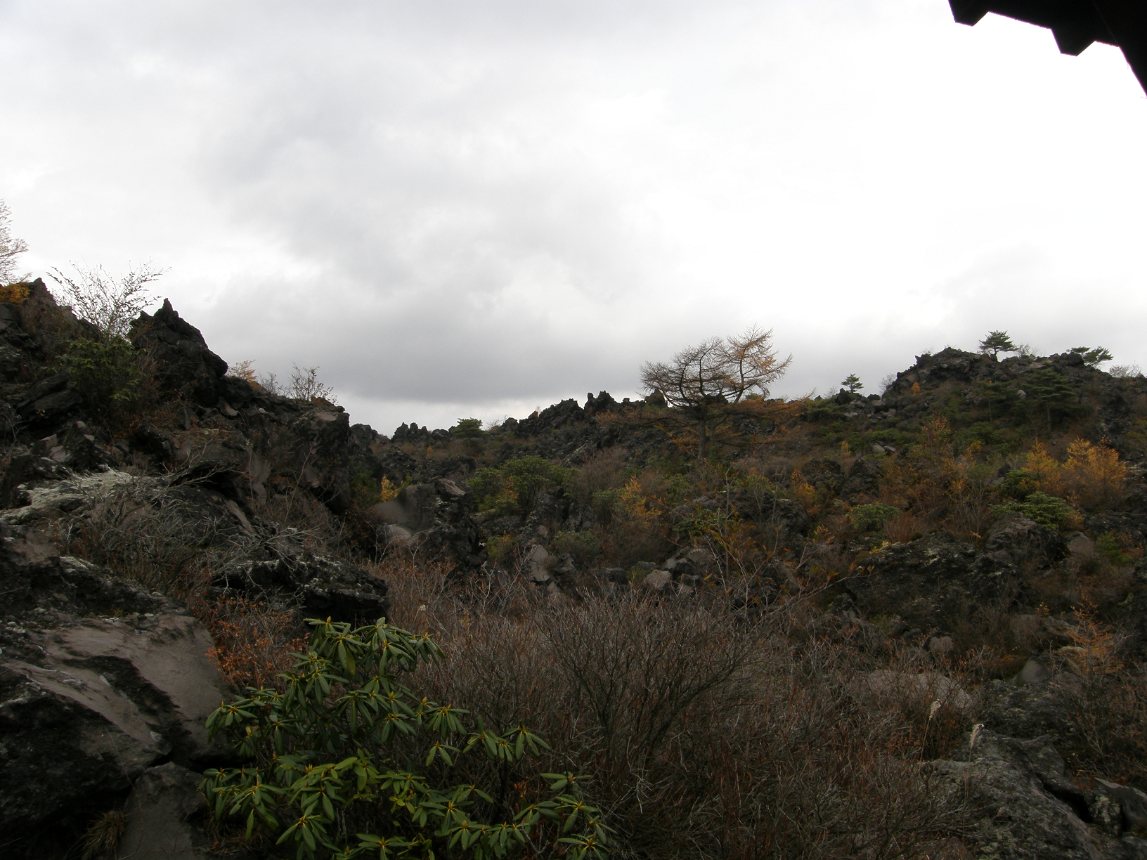 PB072843.jpg