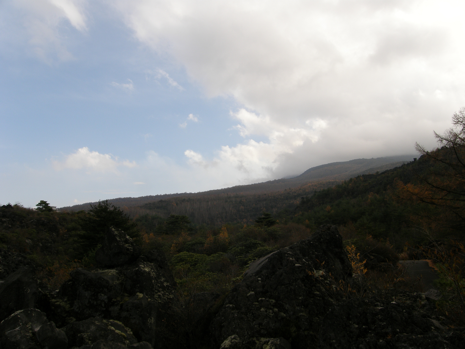 PB072845.jpg