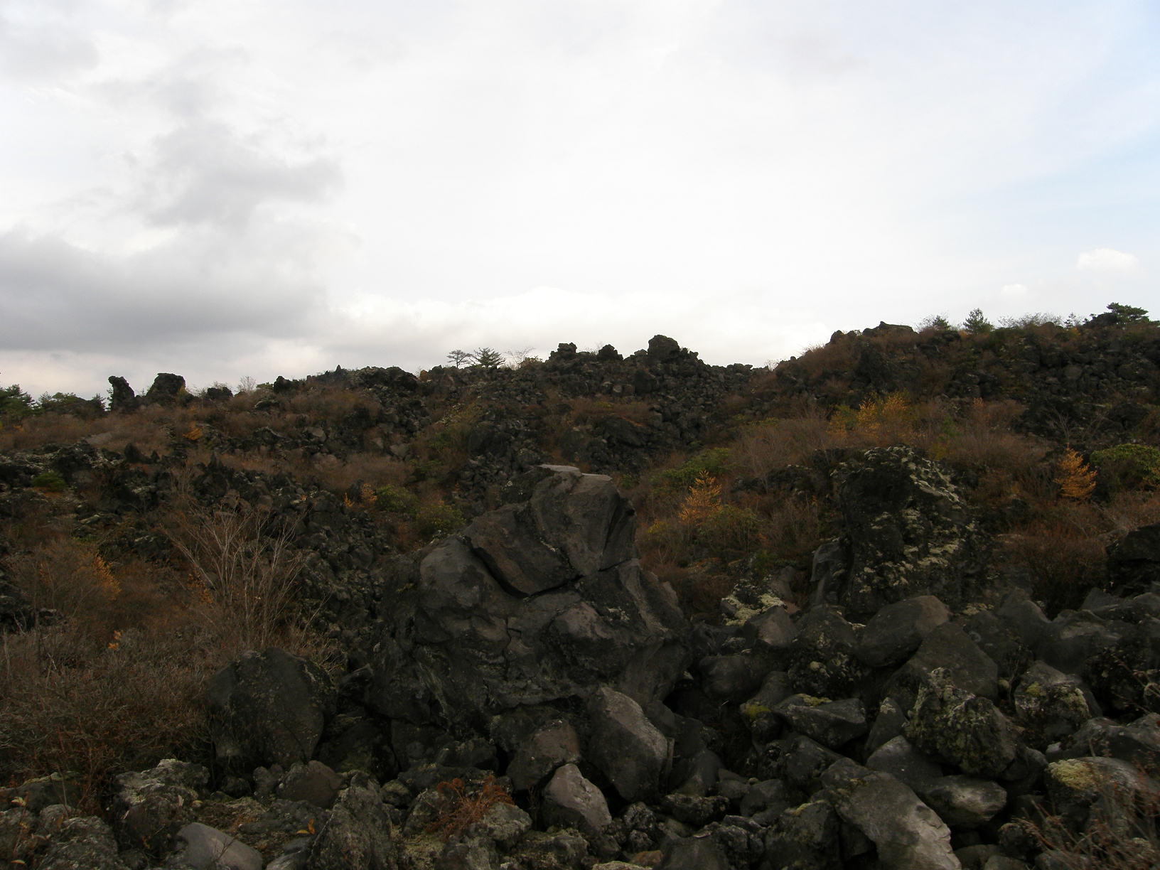 PB072846.jpg