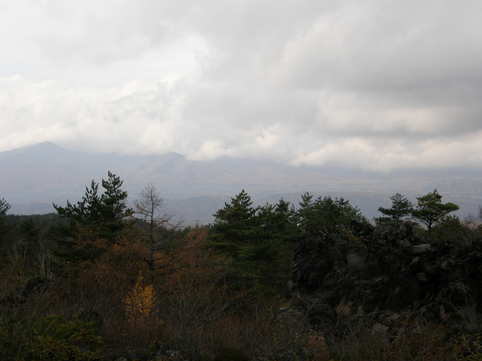 PB072847.jpg